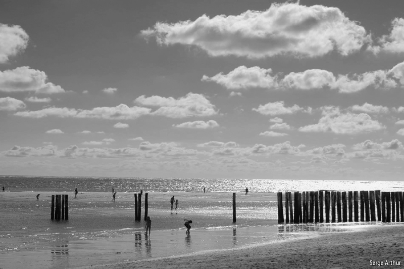 Atlantique  070808 109 bw.jpg