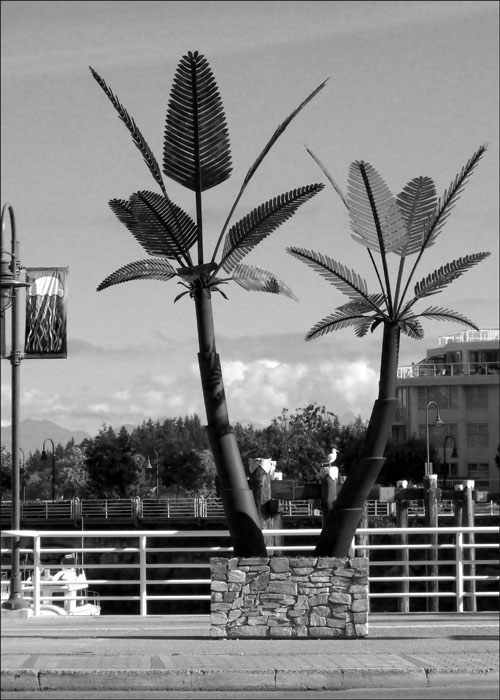 Waterfront Palms