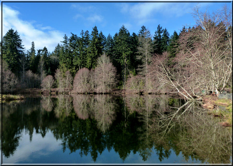 Nanaimo Fish Hatchery