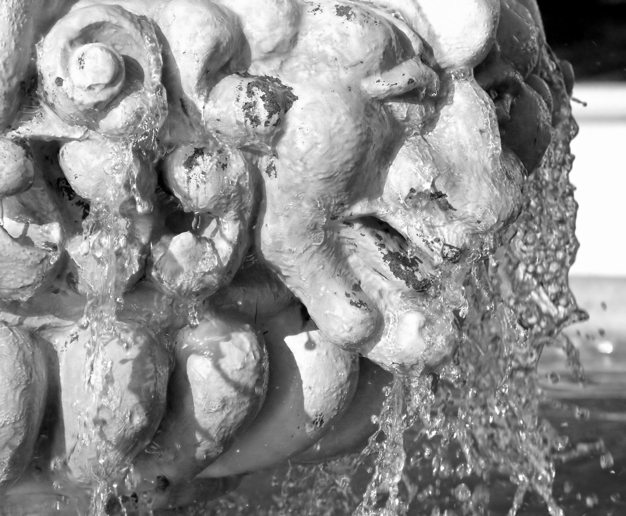 DSC00158_BW_filtered.jpg