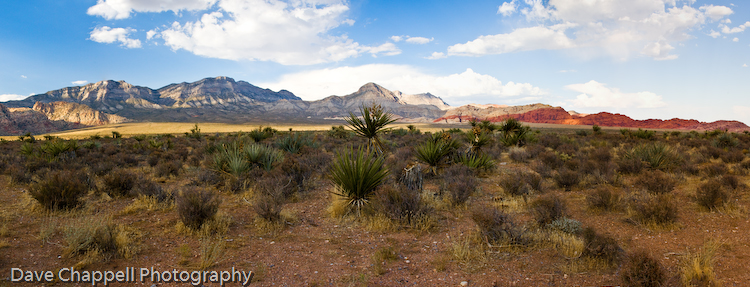 Southwest Images