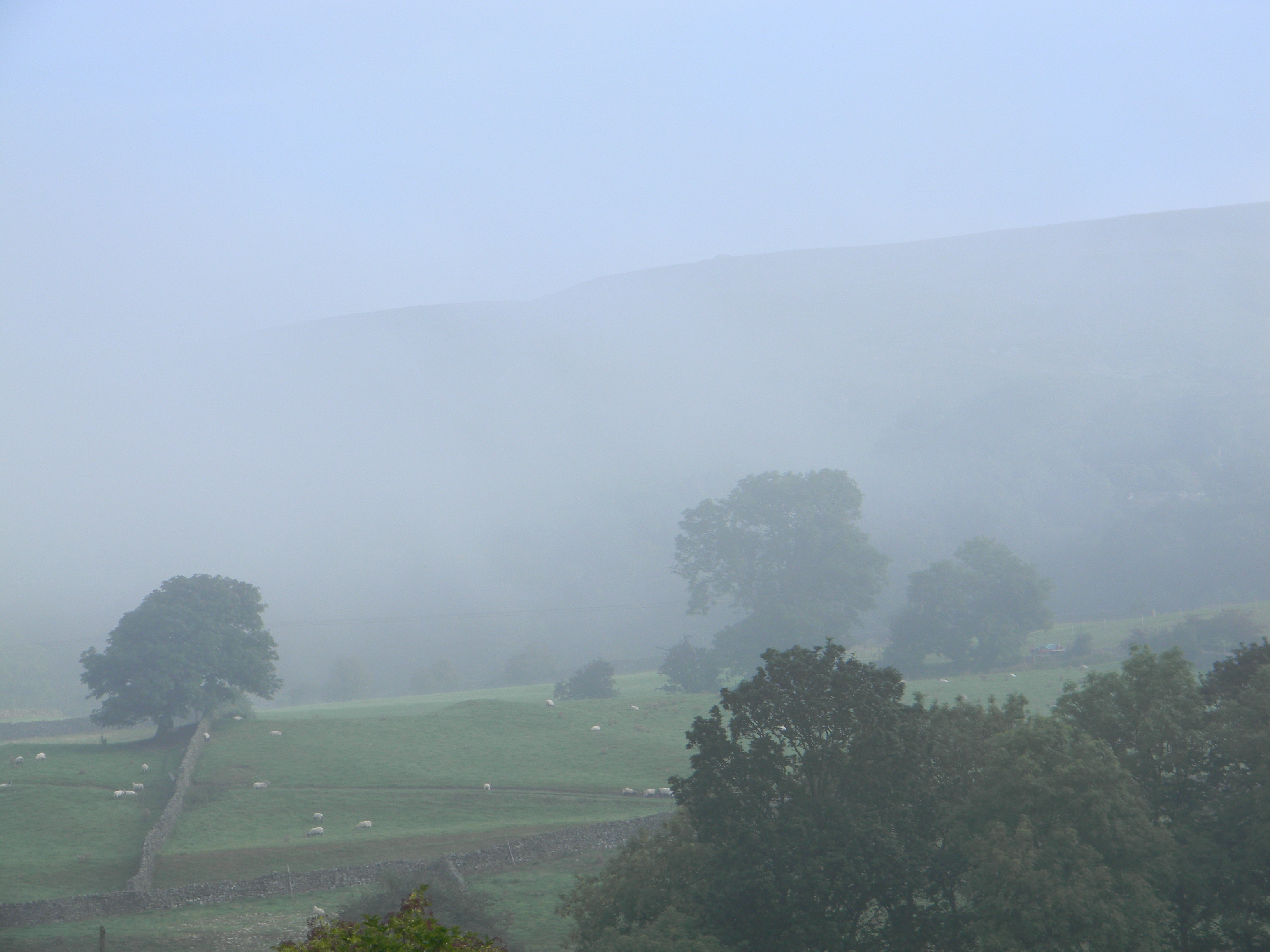 Cogden Wood, just outside Reeth