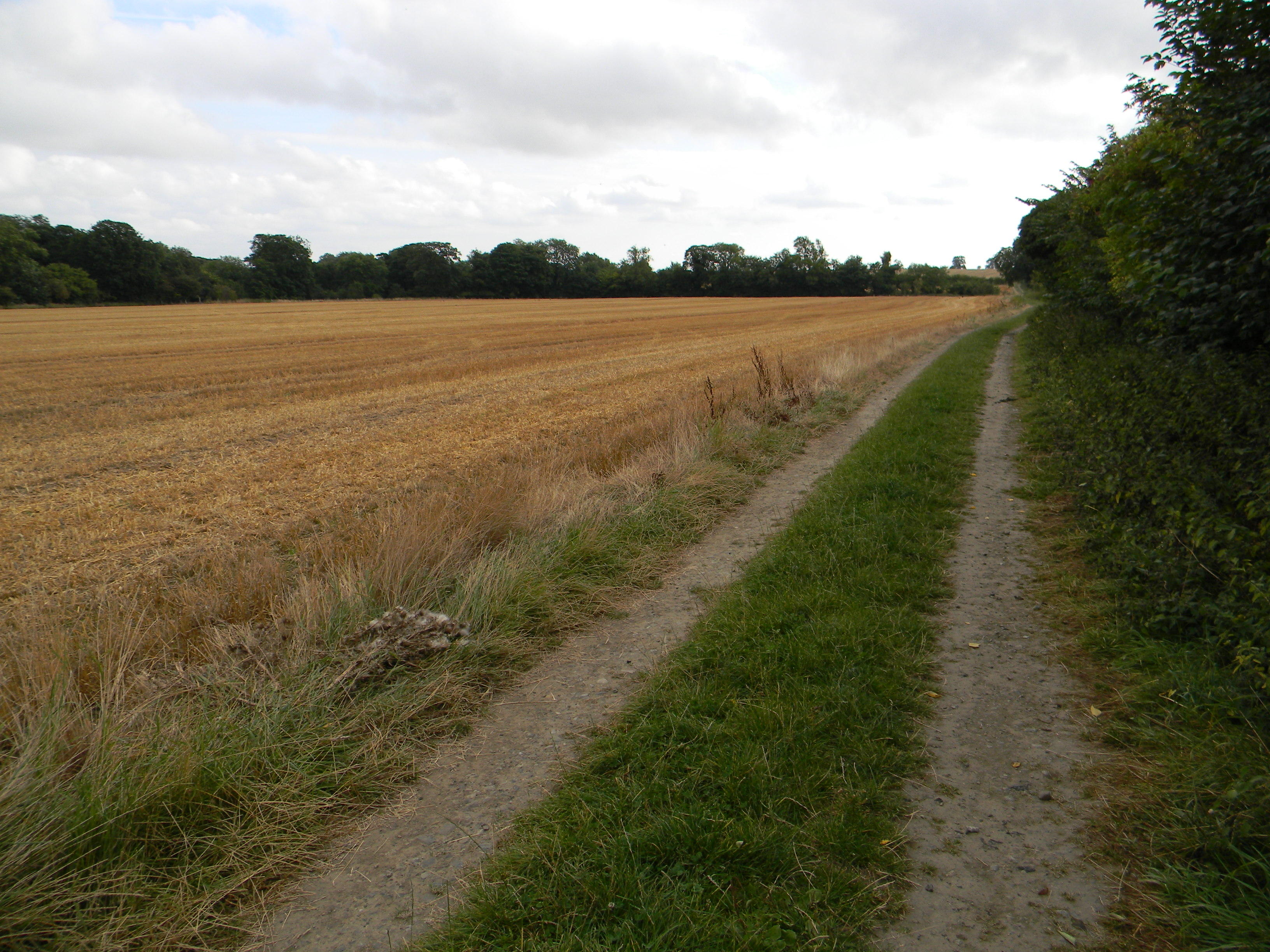 Straight ahead