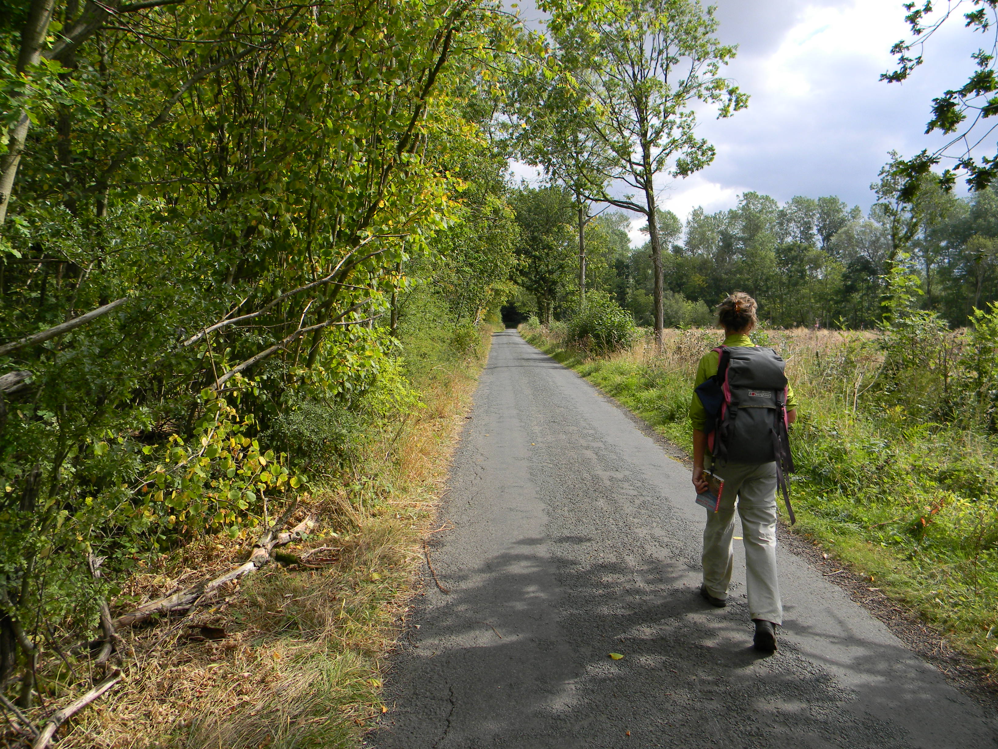 Neverending road