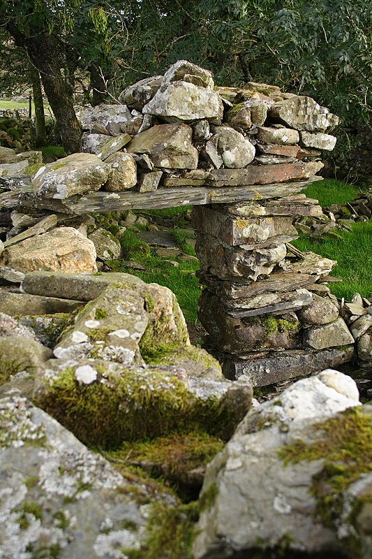 Dolau 2.JPG
