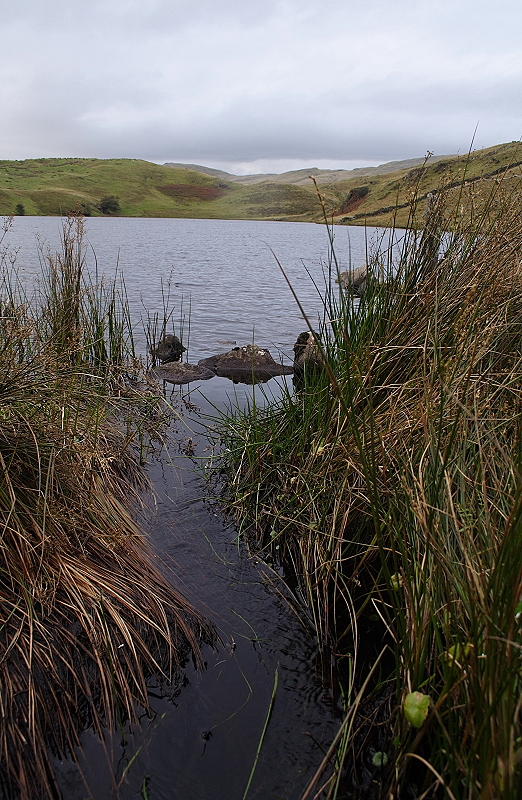 Llyn a Brwyn B.JPG