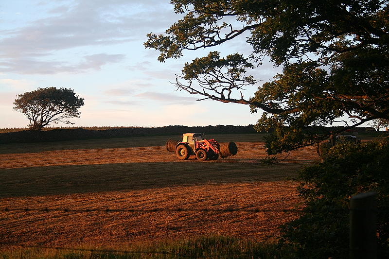 Make Hay......