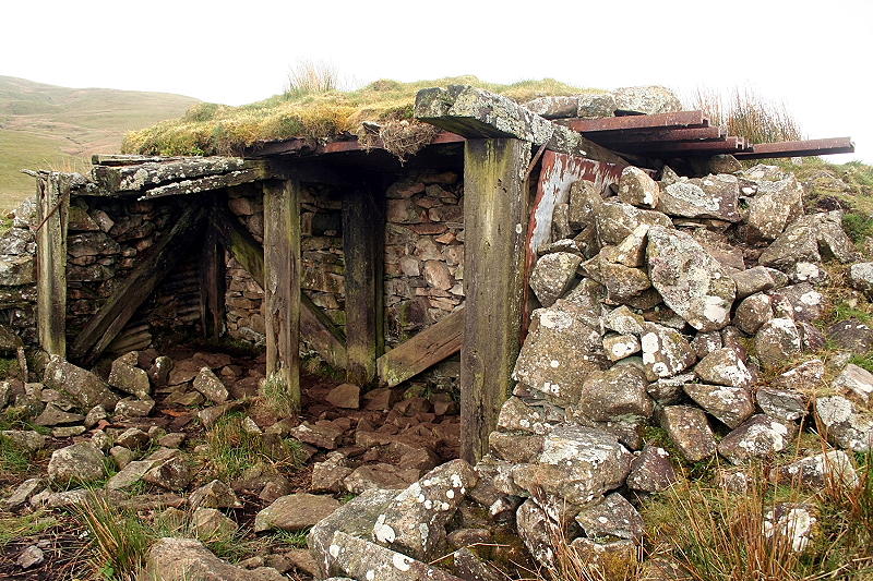 Splinter Proof Shelter