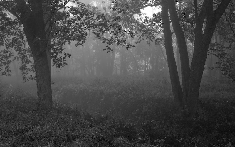 o6/25/829825/1/109198759.gFKtmjwF.20080927IMGP7364800.jpg