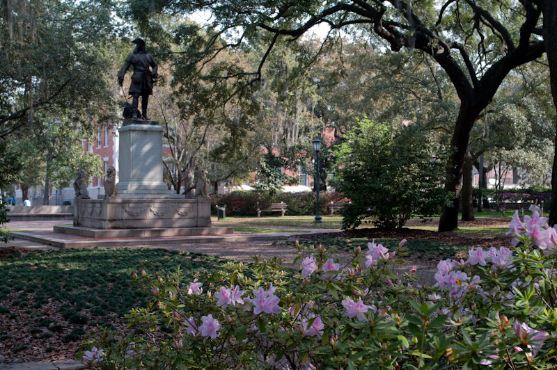 o6/25/829825/1/110340343.HGesrOrU.Savannah20090312_K20D7925.jpg