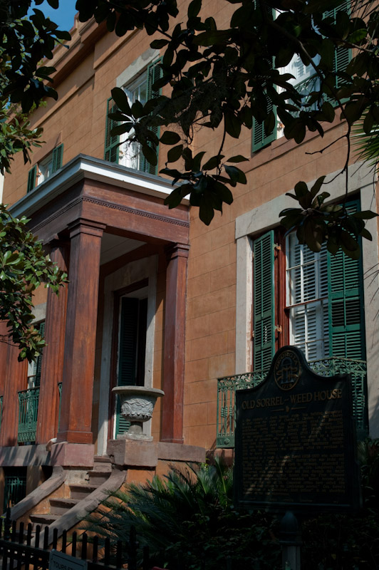 o6/25/829825/1/110340344.QlBfv383.Savannah20090312_K20D7927.jpg