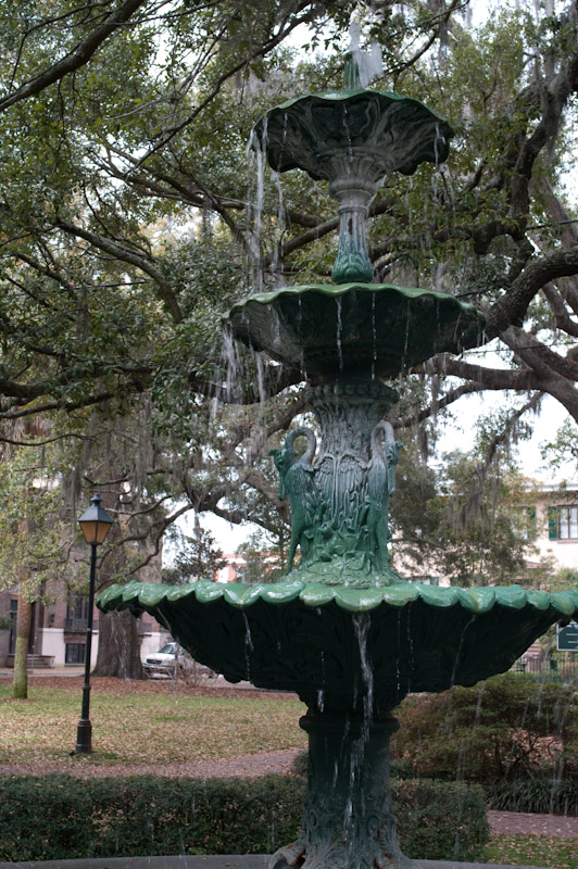 o6/25/829825/1/110340354.rfJZrjE7.Savannah20090312_K20D7956.jpg