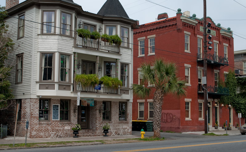 o6/25/829825/1/110340356.5zqppp6M.Savannah20090312_K20D7959.jpg