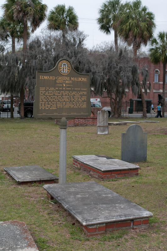 o6/25/829825/1/110340359.TjGr3HOG.Savannah20090312_K20D7973.jpg
