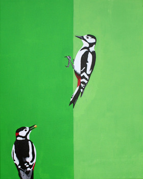 Great Spotted Woodpecker -Grote Bonte Specht