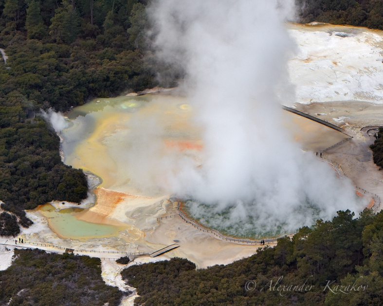 NZL_MG_7293.jpg
