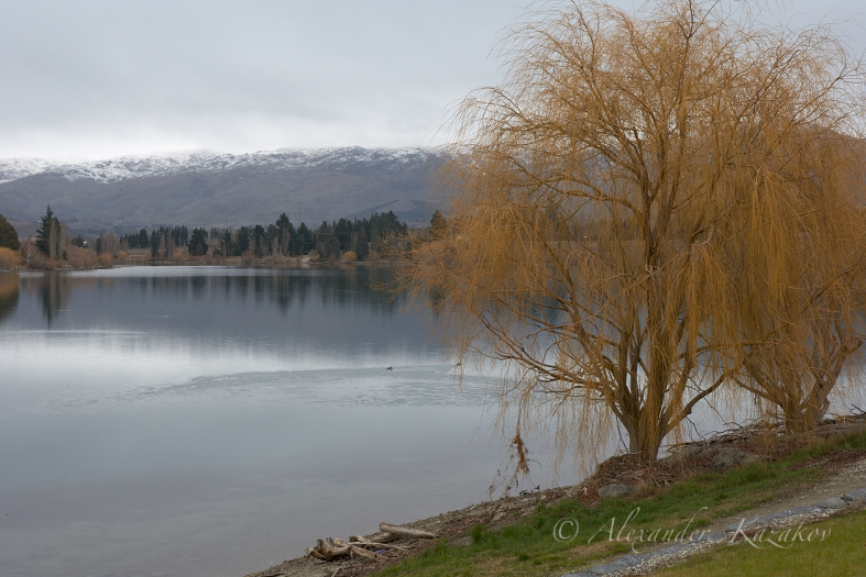 NZL_2BR8269.jpg