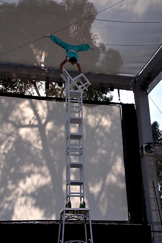 Peking Acrobats