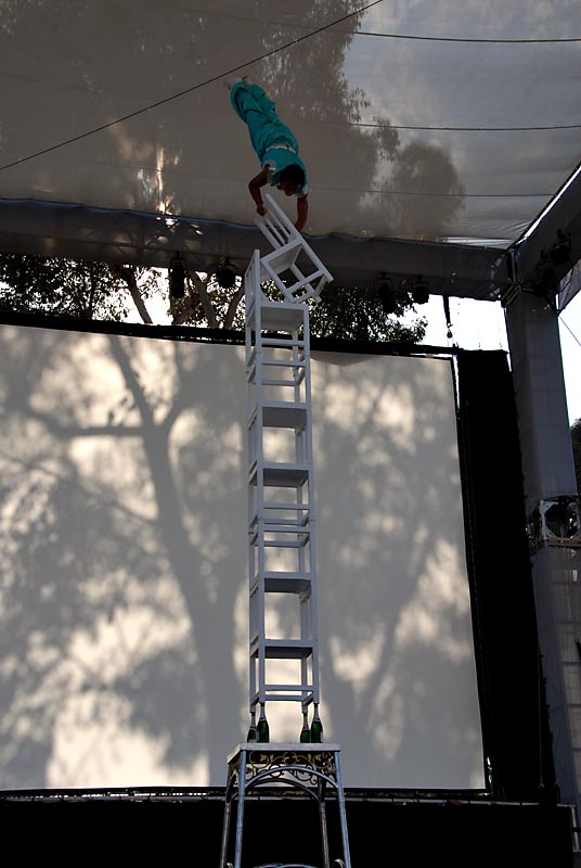 Peking Acrobats