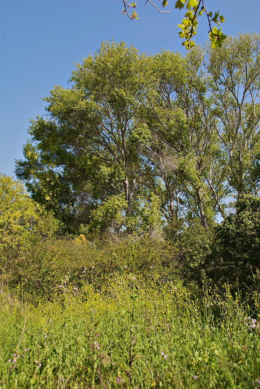 Along the trail, El Dorado Nature Center