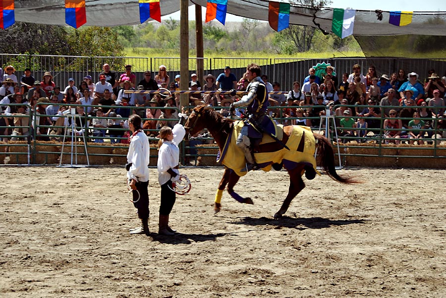 Joust