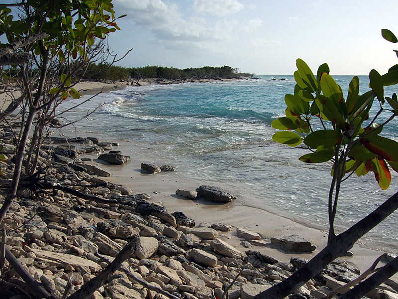 Beach on Little Water Cay 10