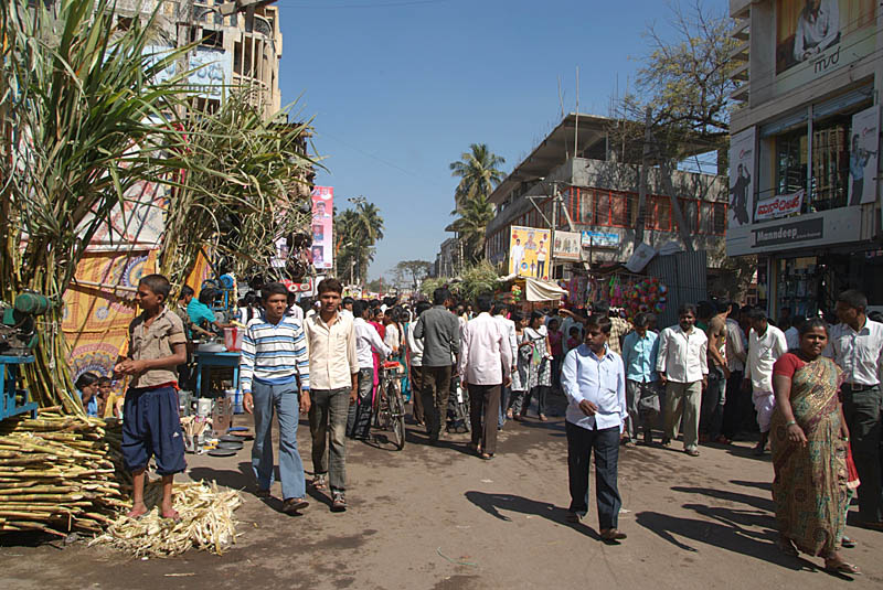 Sugar Cane in Bijapur Market