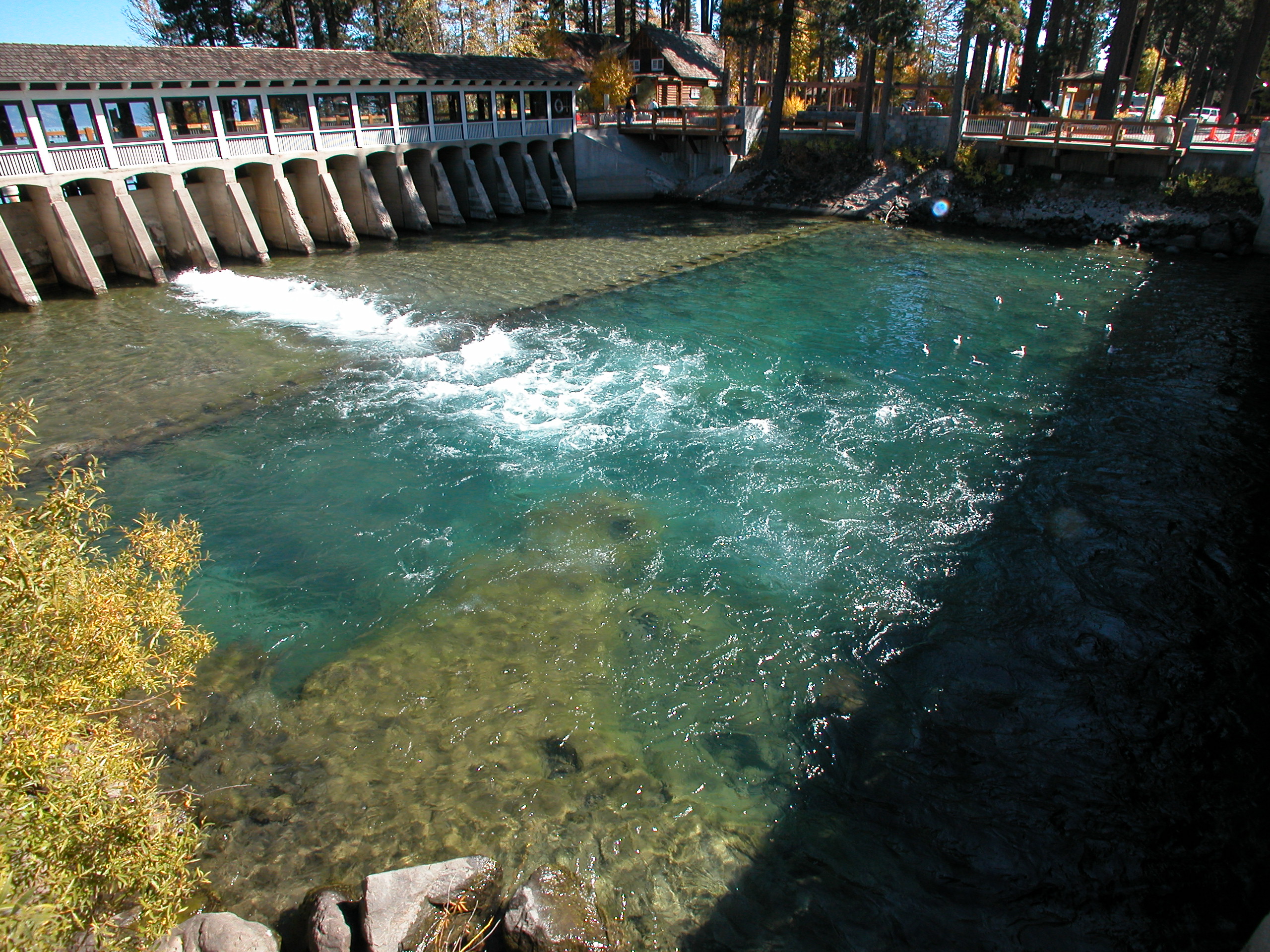 DSCN0546.JPG