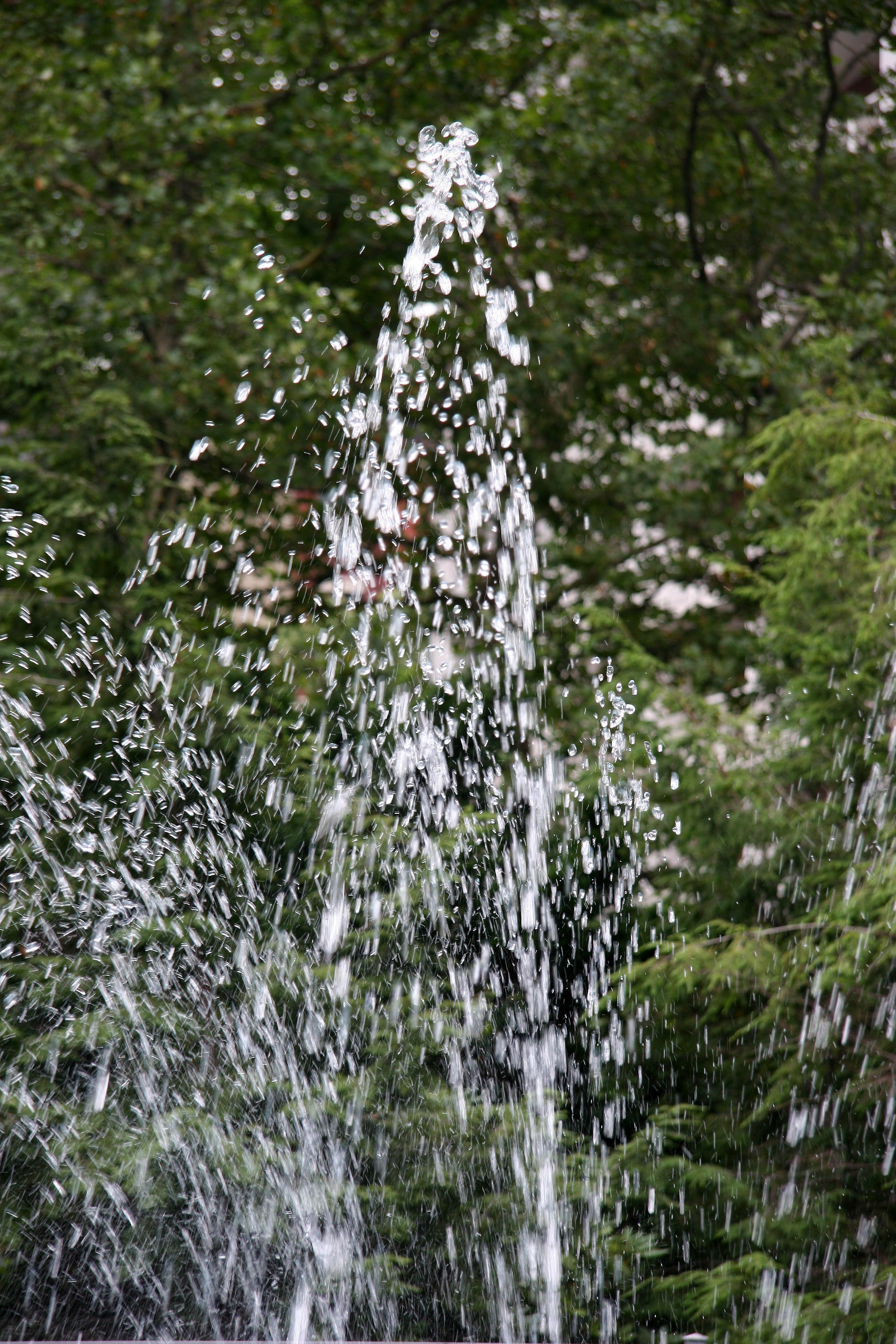 Fountain