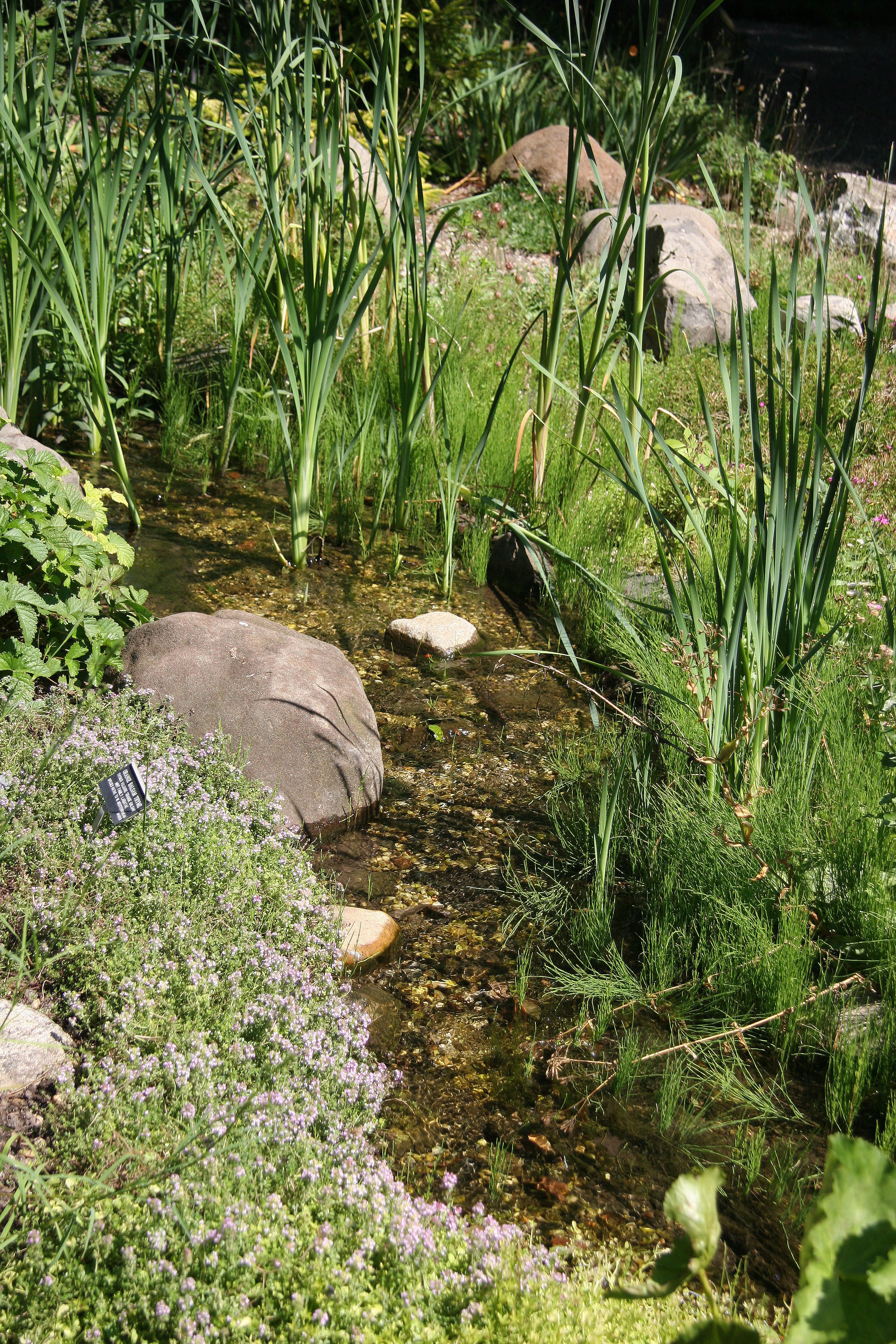 Rock Garden
