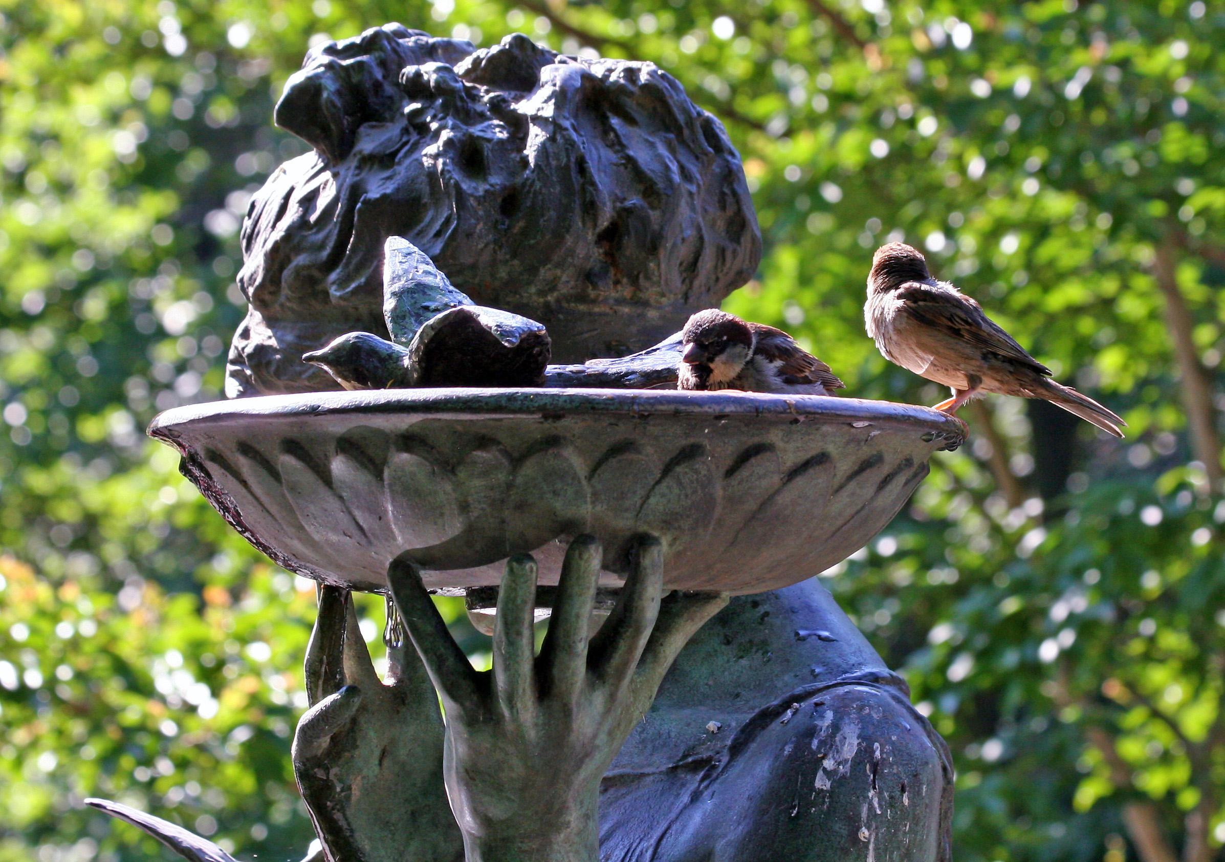 'Secret Garden' Memorial Statue & Bird Bath photo - Hubert Steed photos ...