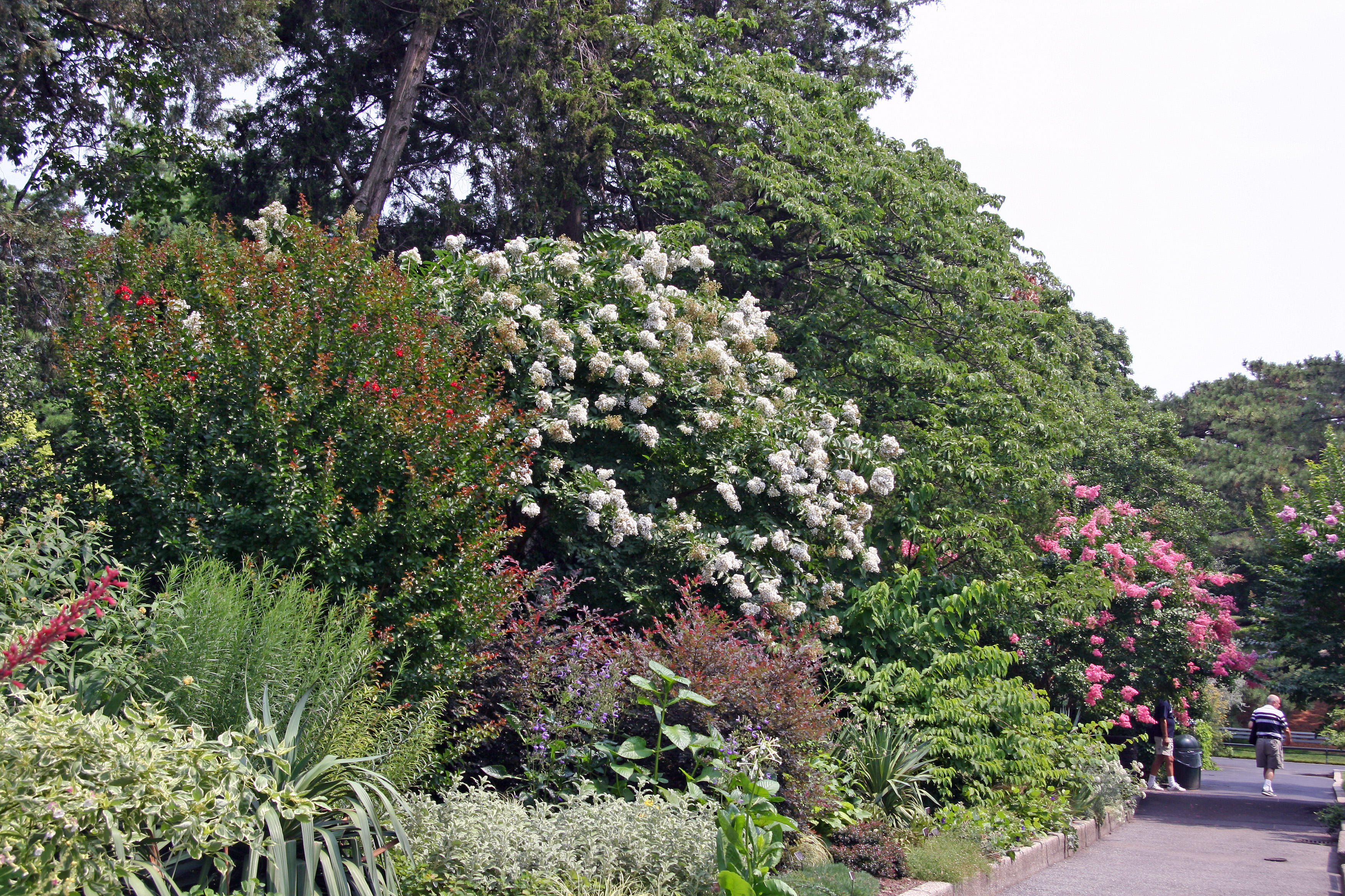 Conservatory Gardens