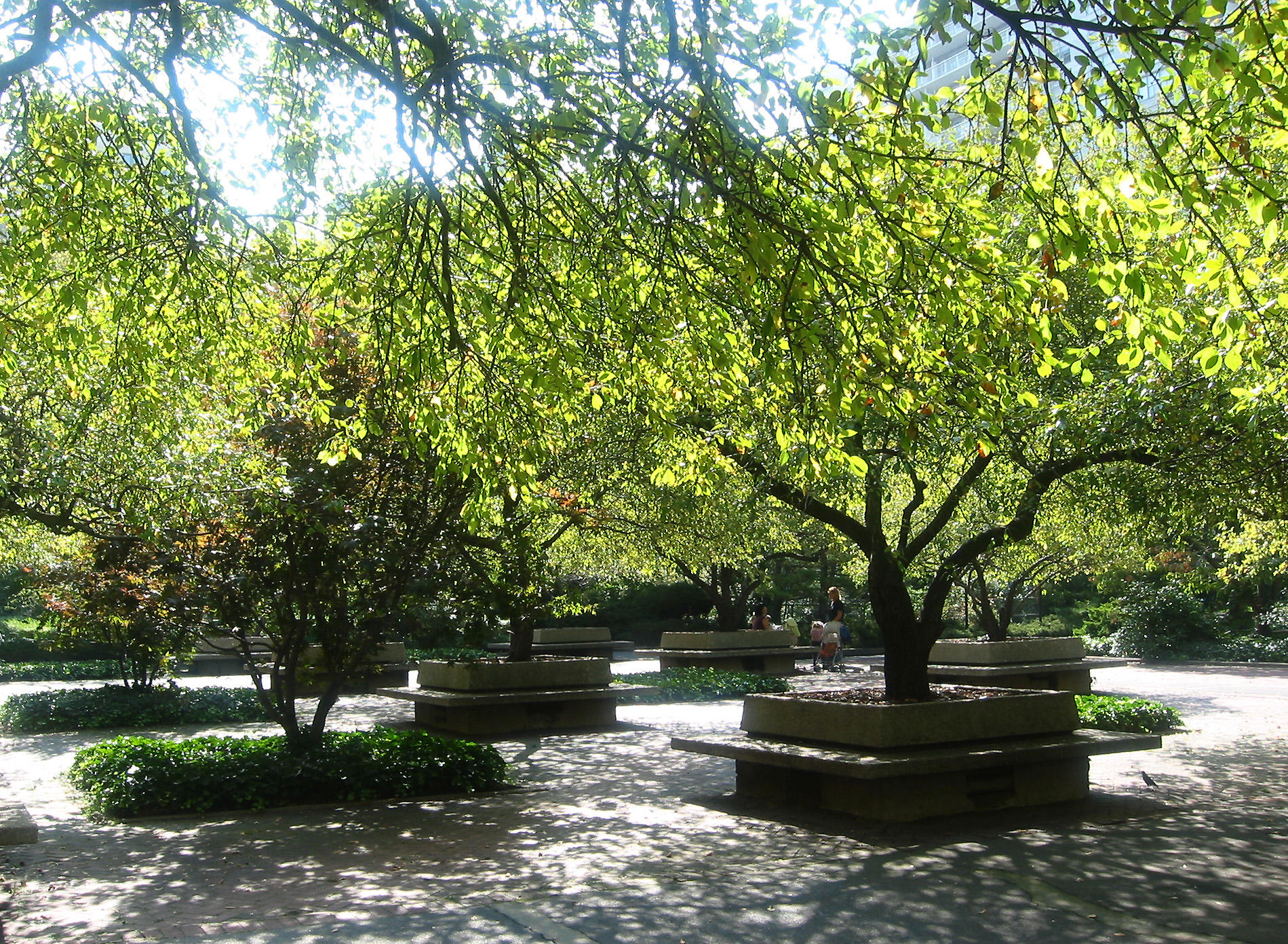 Garden View - Crab Apple Trees