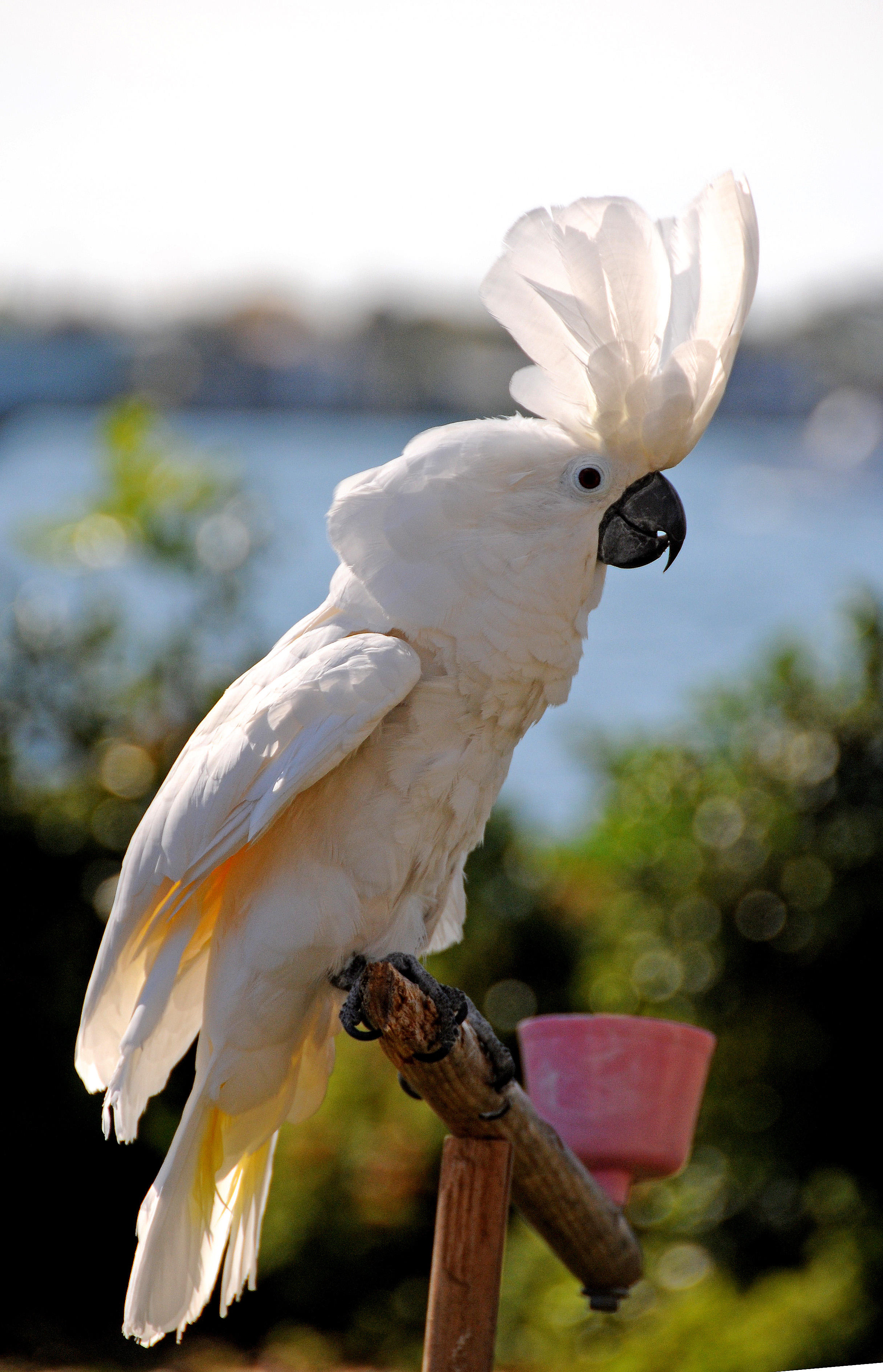DSC_2205.JPG