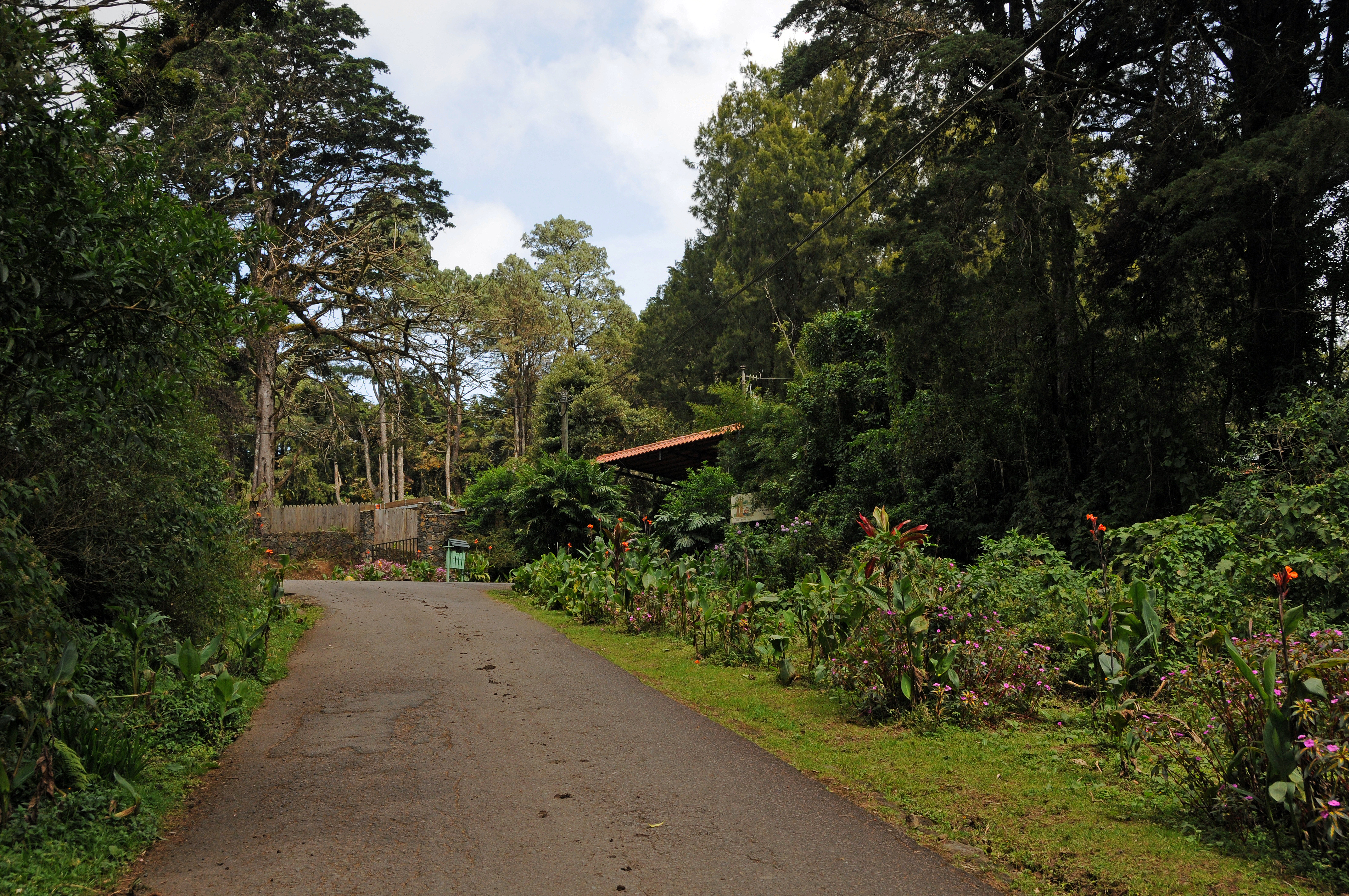 Monte de la Cruz Jardin