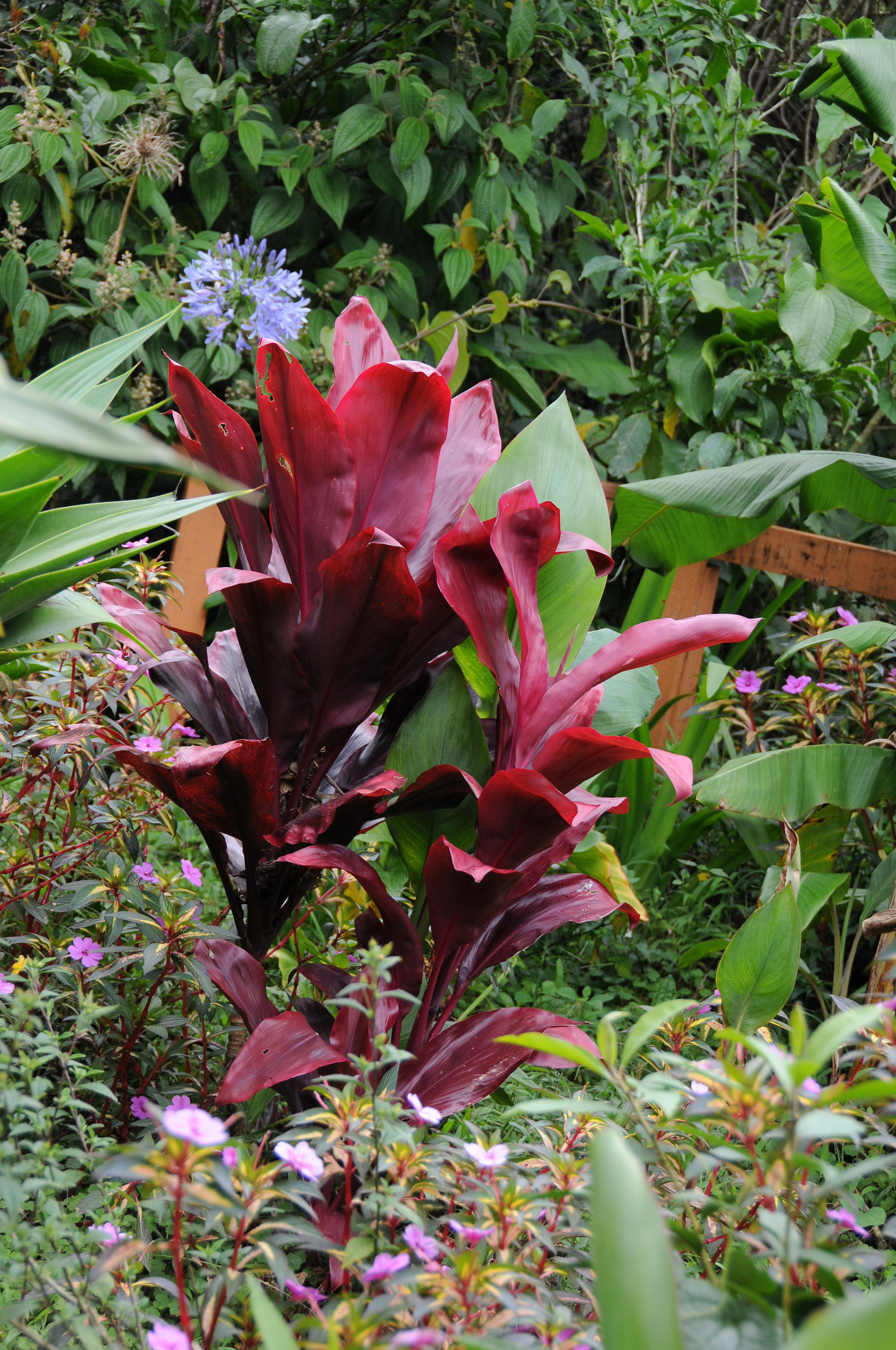 Monte de la Cruz Jardin