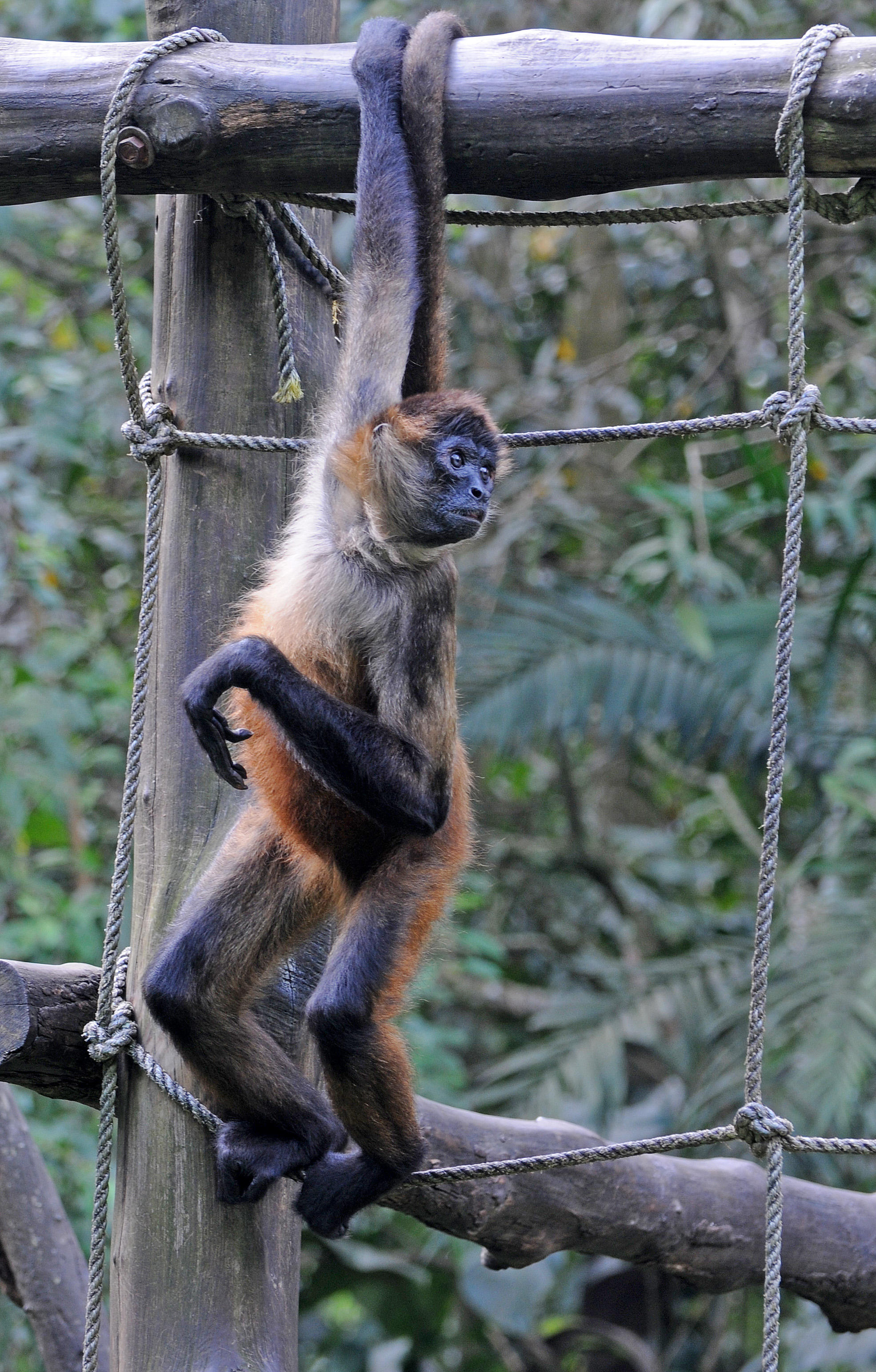 Parque Zoological Simon Bolivar