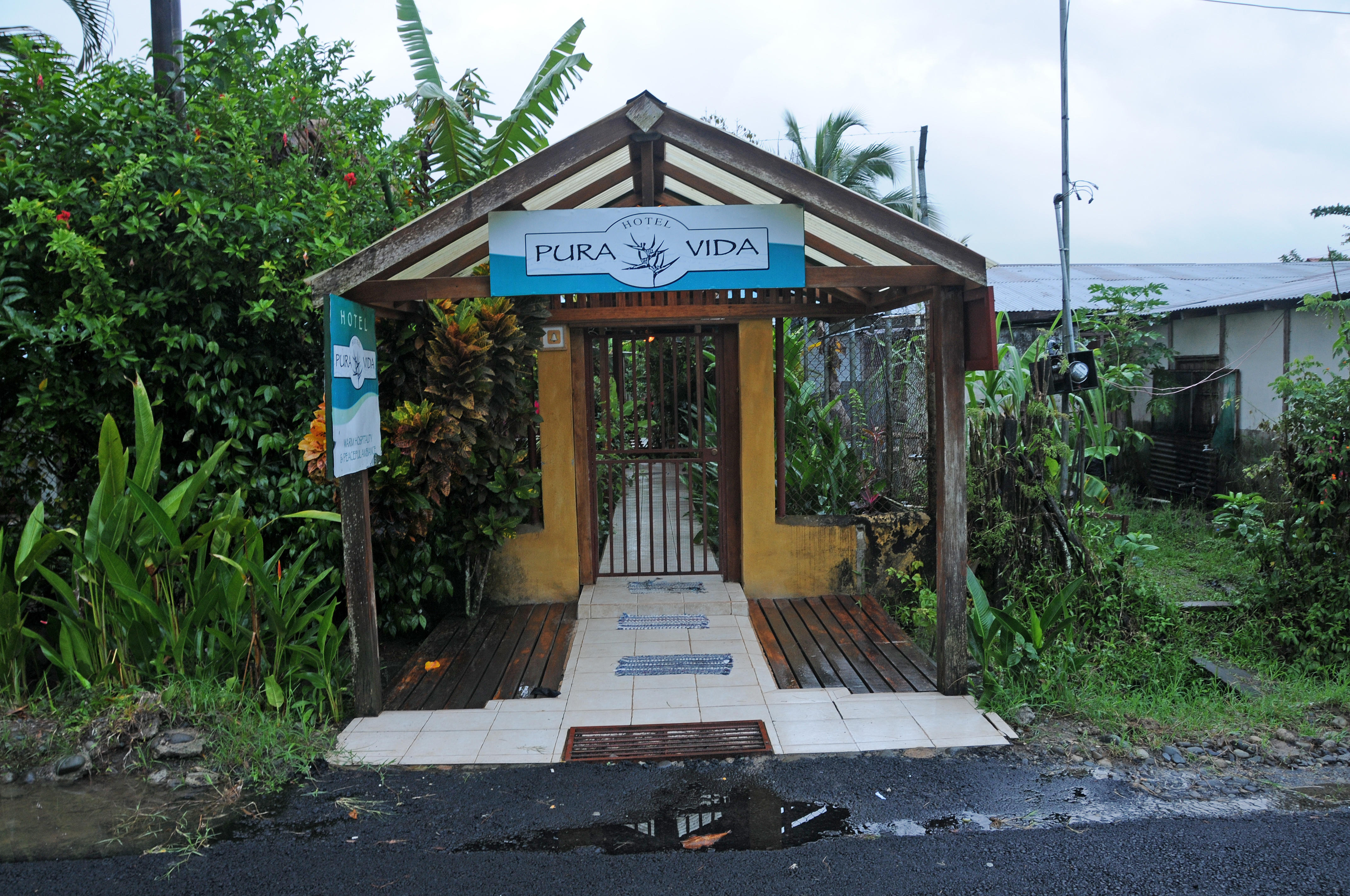 Hotel Pura Vida