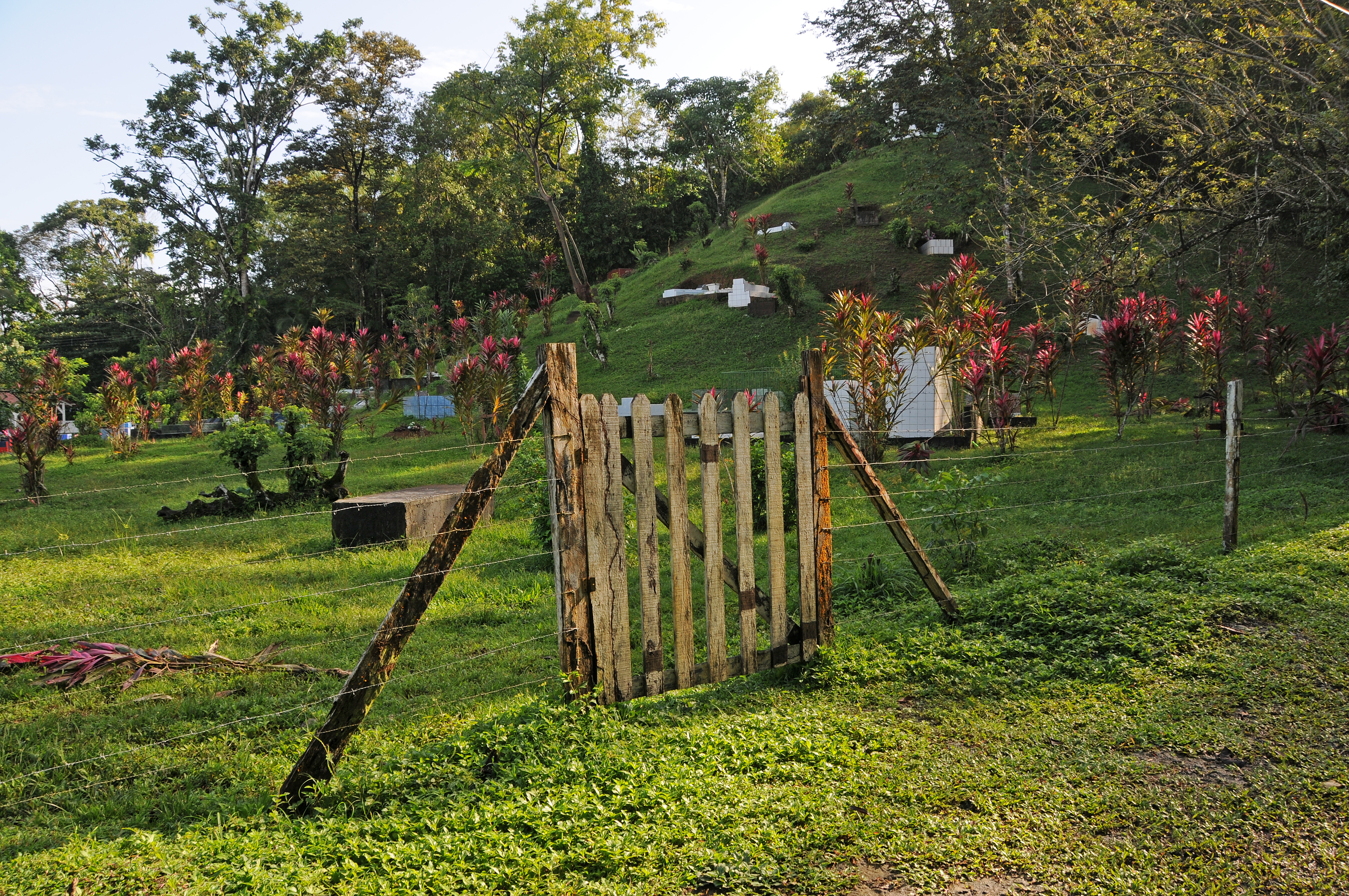 DSC_0502.JPG