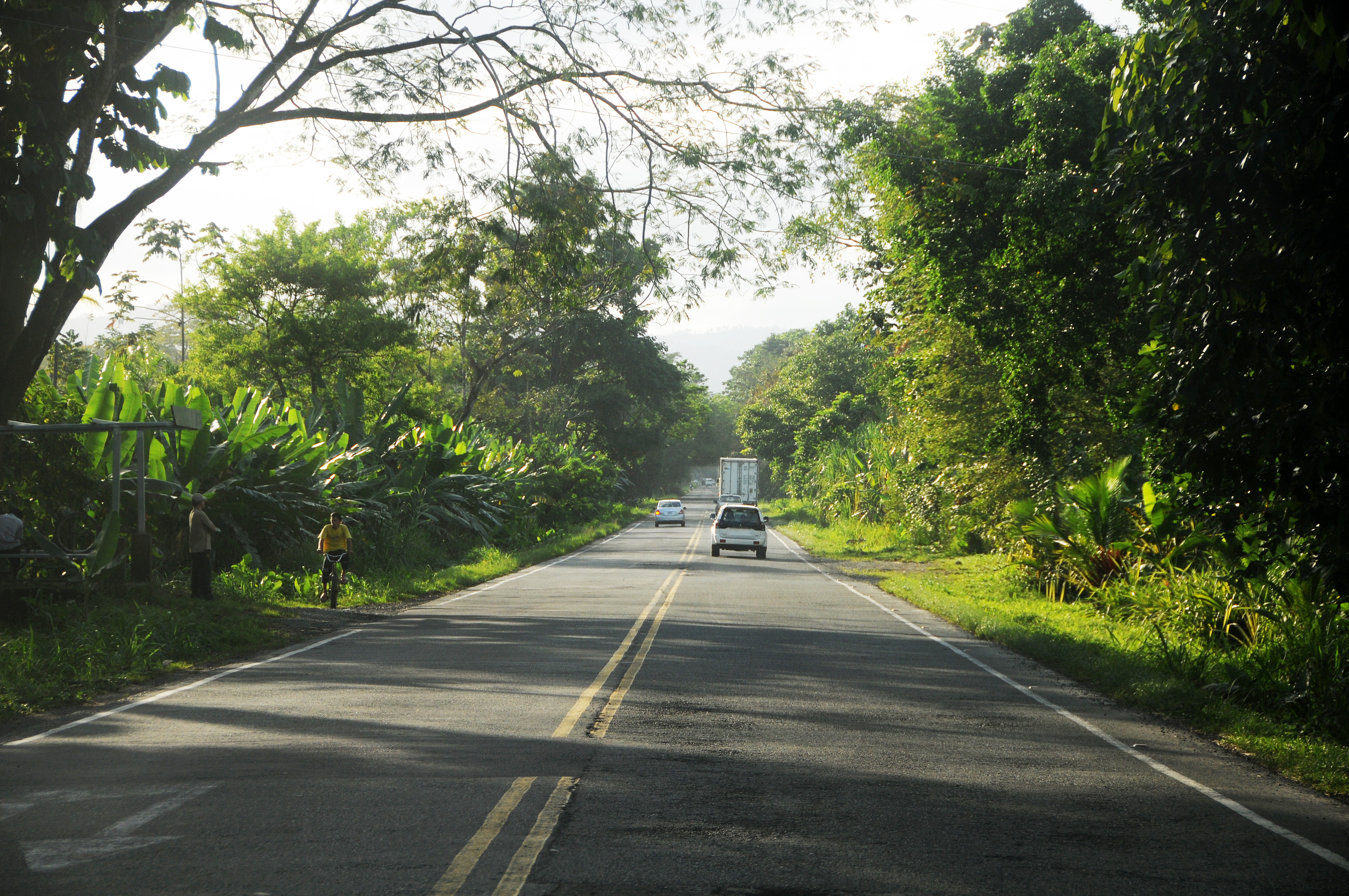 Tourista Bus Ride from Puerto Viejo Talamanca to San Jose