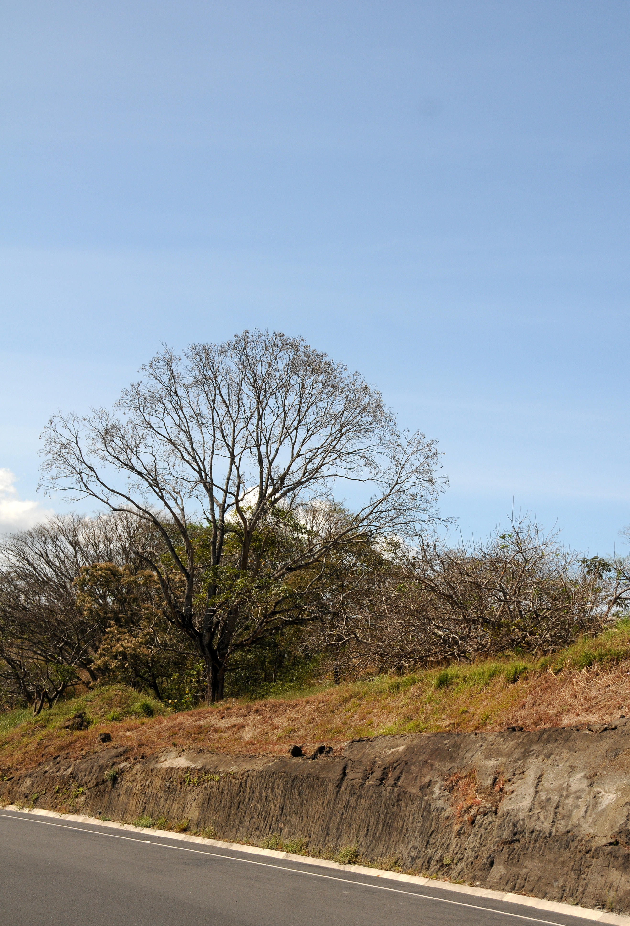 Bus Ride - San Jose to Dominical
