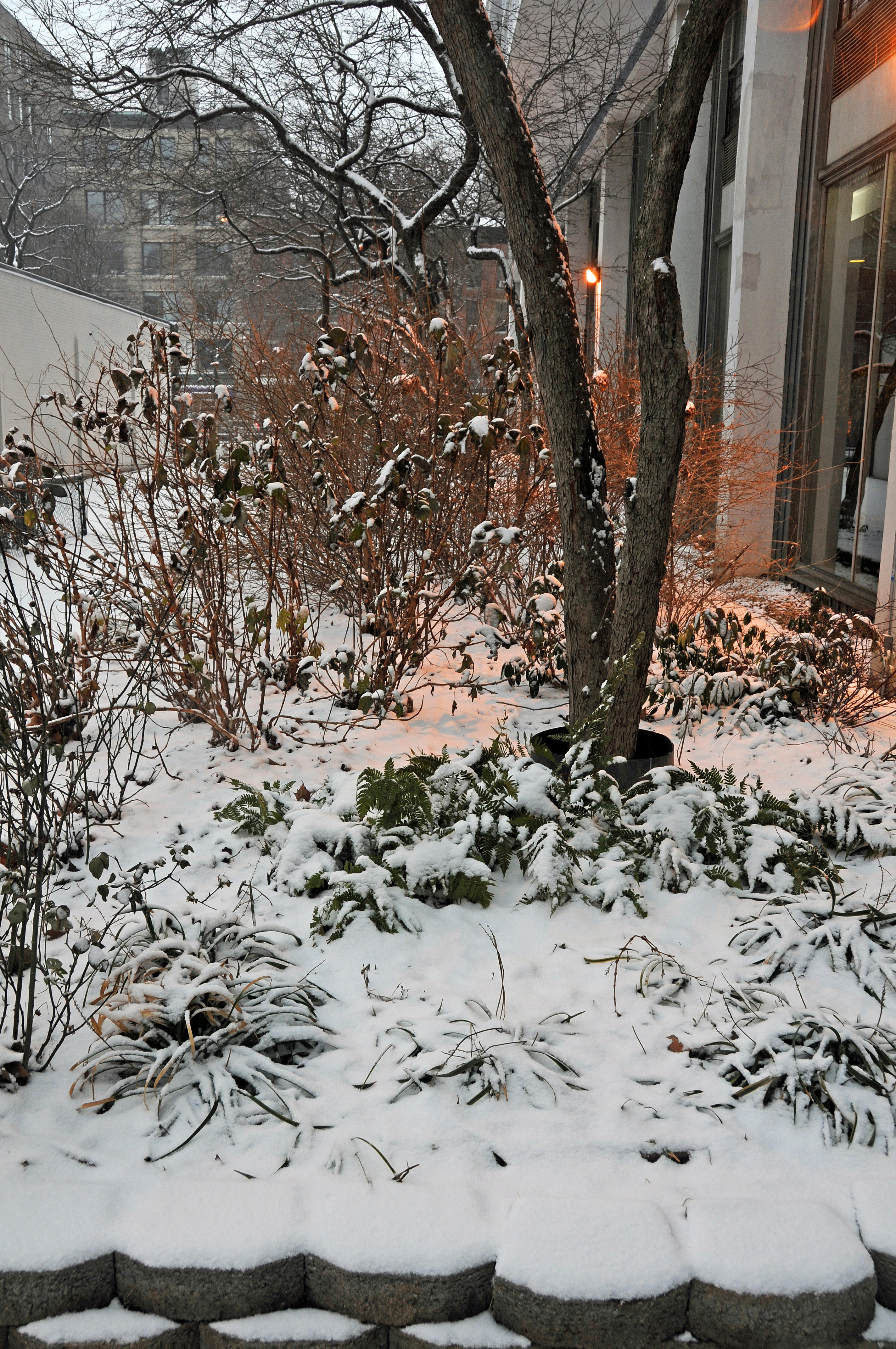 Winter 2012