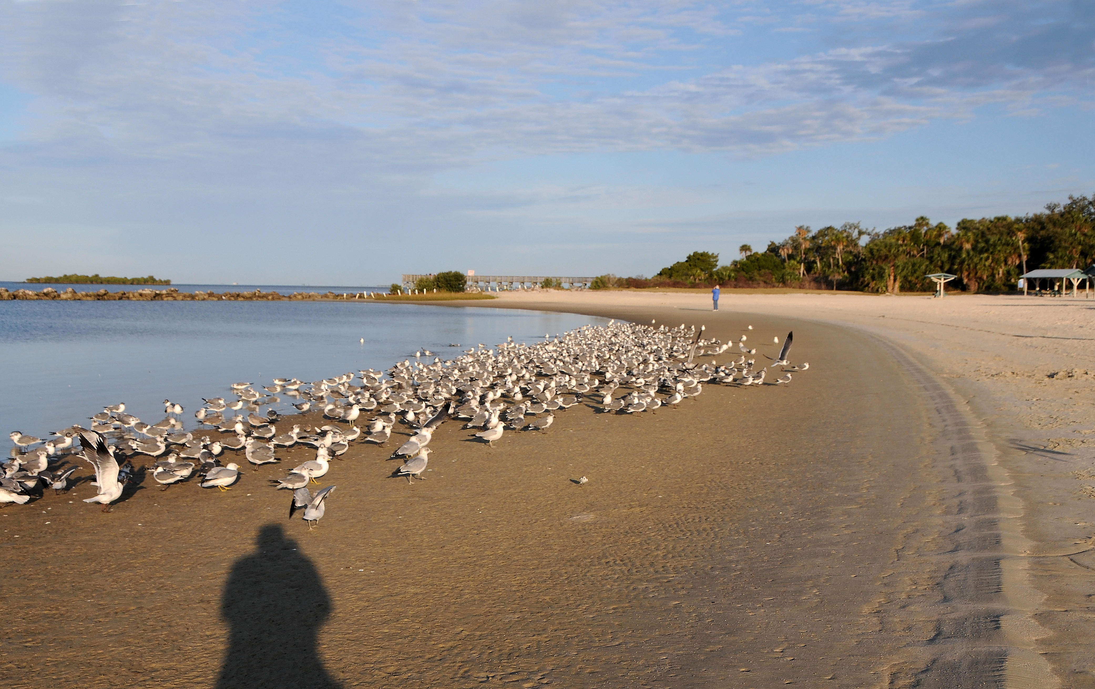 Fort Island Gulf Beach