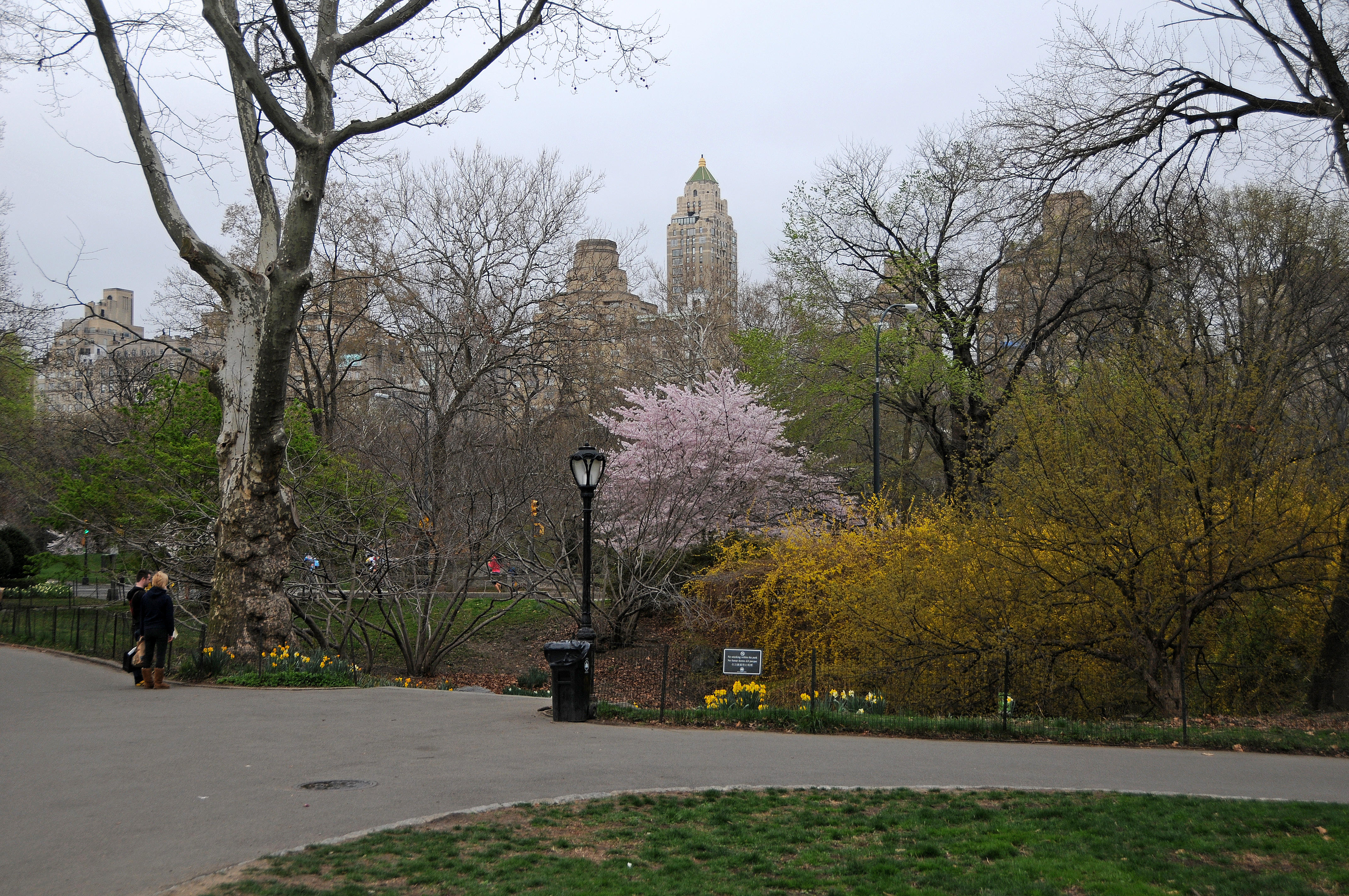DSC_3592.JPG