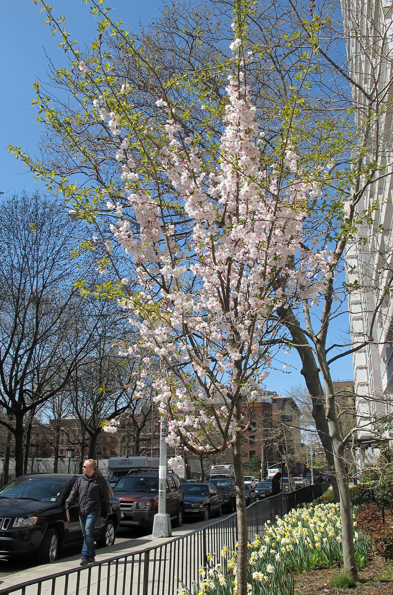 IMG_7897.JPG