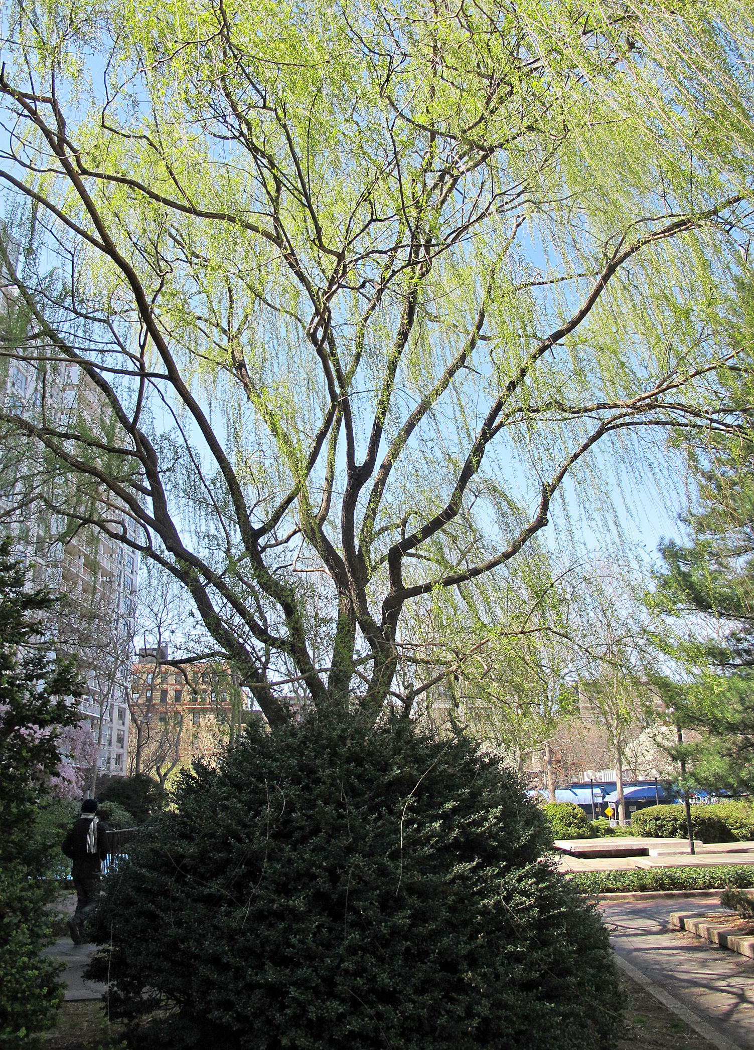 IMG_7906.JPG