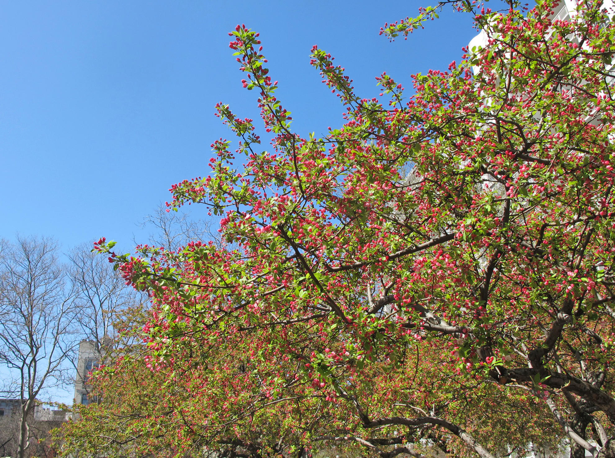IMG_7908.JPG