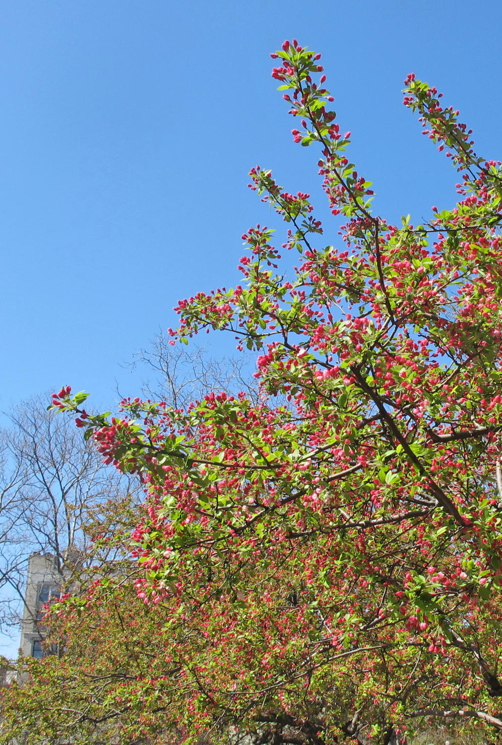 IMG_7908 copy