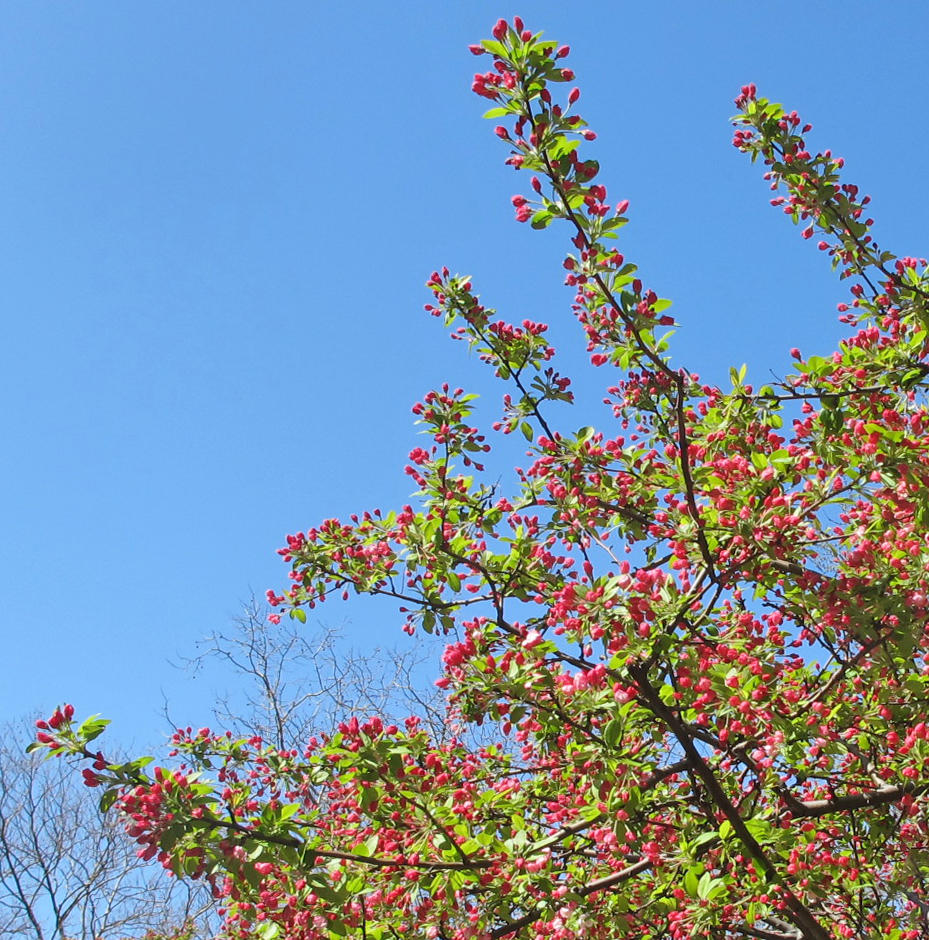 IMG_7908 copy 2