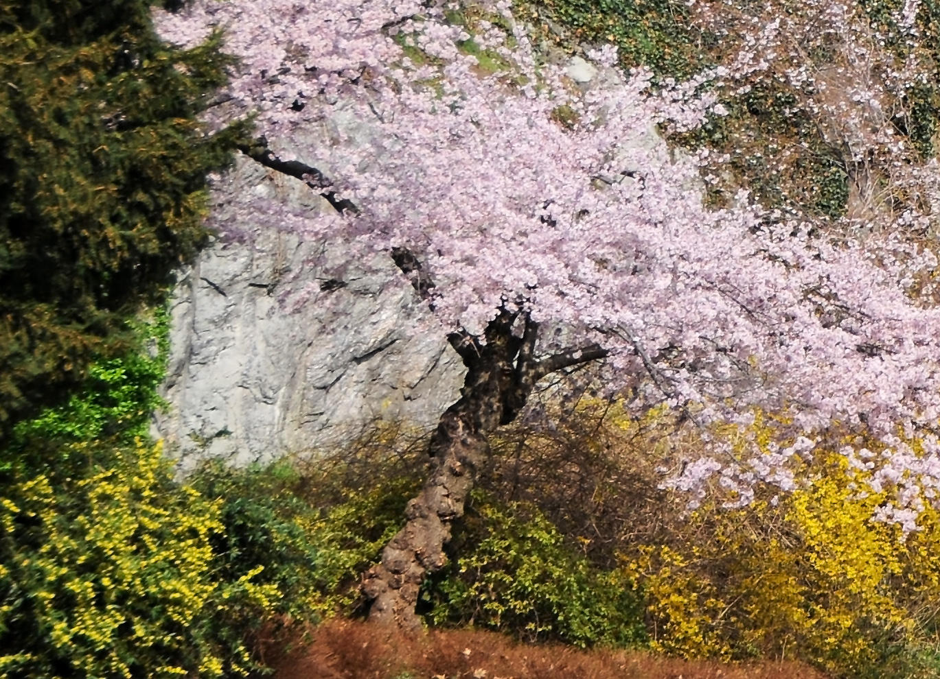 Earths Springtime Colors